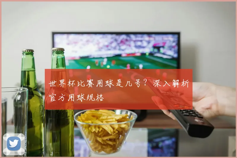 世界杯比赛用球是几号？深入解析官方用球规格