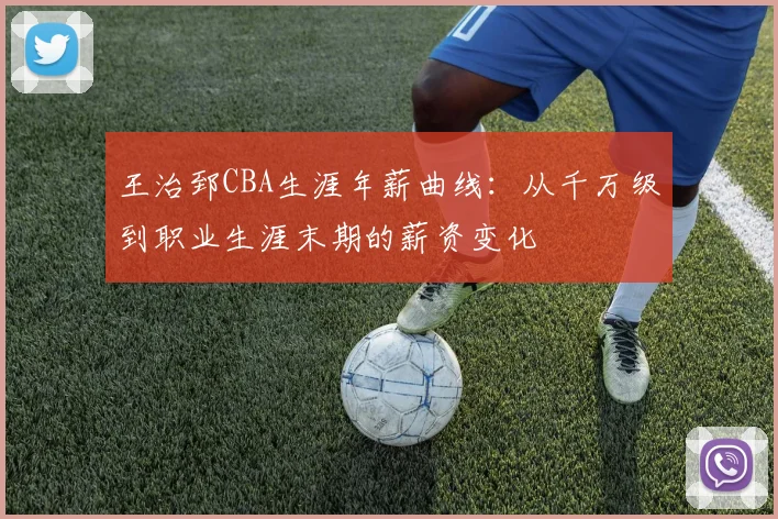 王治郅CBA生涯年薪曲线:从千万级到职业生涯末期的薪资变化