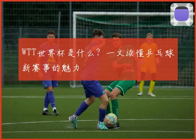 WTT世界杯是什么？一文读懂乒乓球新赛事的魅力