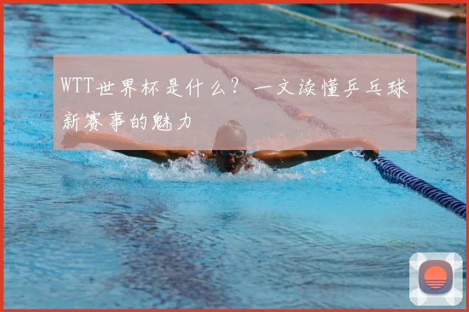 WTT世界杯是什么?一文读懂乒乓球新赛事的魅力