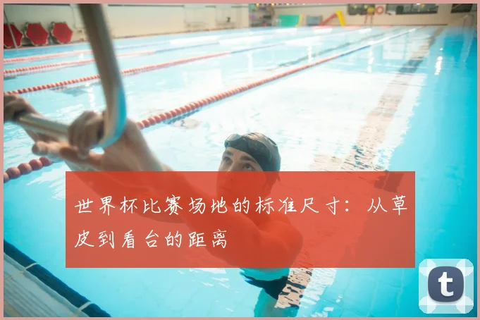 世界杯比赛场地的标准尺寸：从草皮到看台的距离