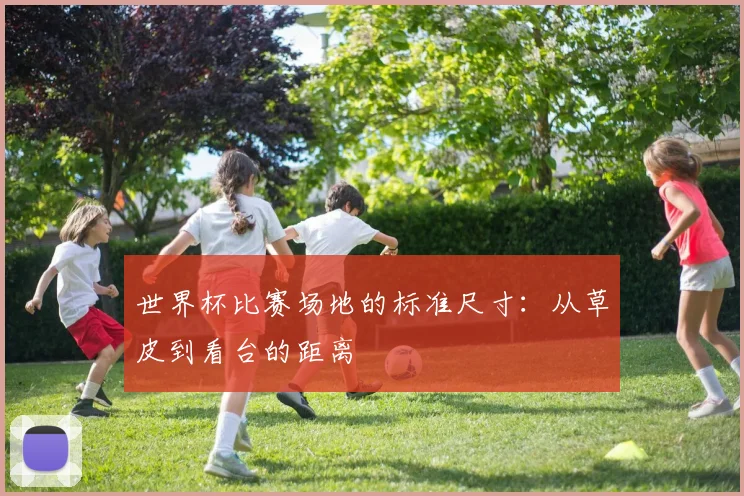 世界杯比赛场地的标准尺寸：从草皮到看台的距离