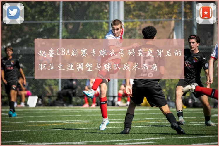 赵睿CBA新赛季球衣号码变更背后的职业生涯调整与球队战术布局