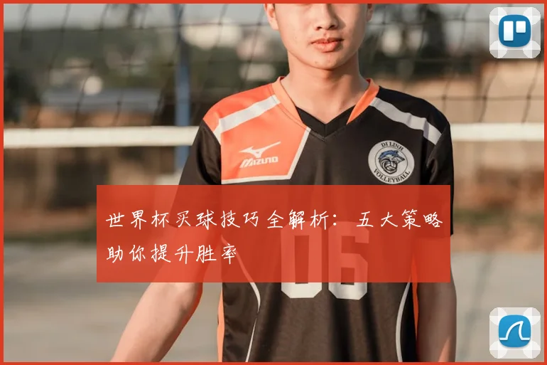 世界杯买球技巧全解析：五大策略助你提升胜率