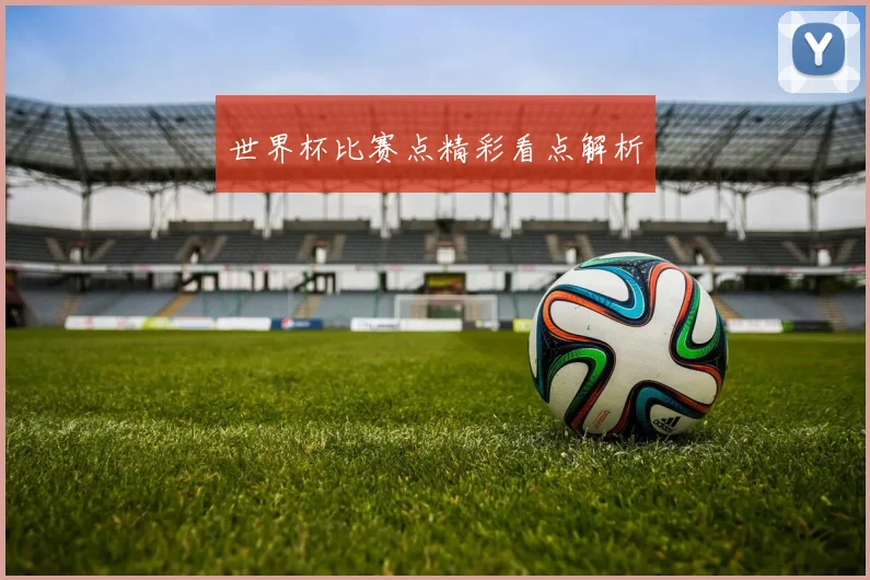 世界杯比赛点精彩看点解析