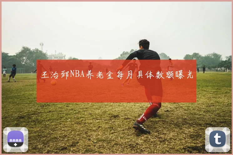 王治郅NBA养老金每月具体数额曝光
