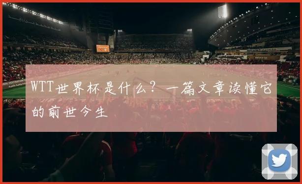 WTT世界杯是什么?一篇文章读懂它的前世今生