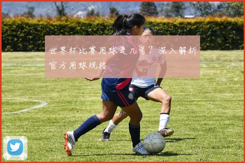 世界杯比赛用球是几号?深入解析官方用球规格