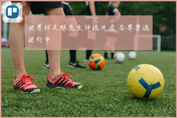 世界杯足球先生评选开启 各界票选进行中