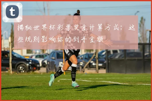 揭秘世界杯彩票奖金计算方式：这些规则影响你的到手金额