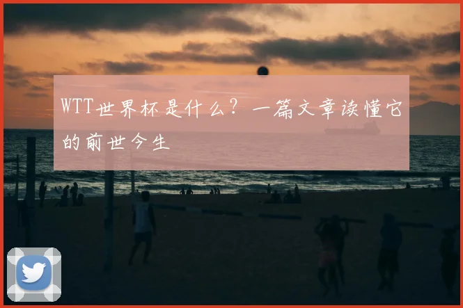 WTT世界杯是什么？一篇文章读懂它的前世今生