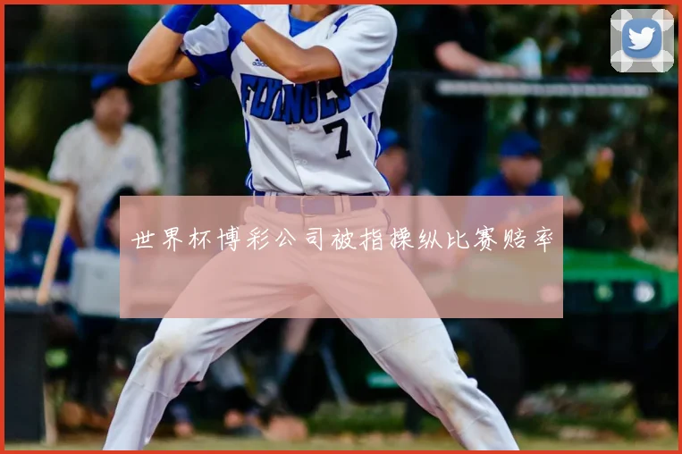 世界杯博彩公司被指操纵比赛赔率